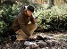 Metal Detecting Techniques: How to Distinguish Between Gold and Other Metals