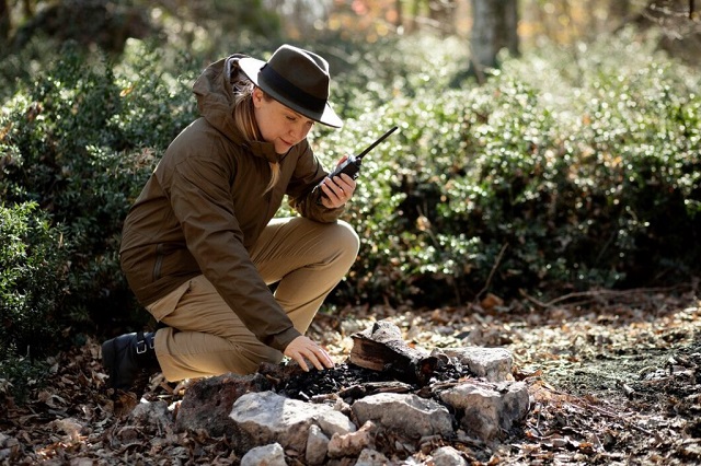 Metal Detecting Techniques: How to Distinguish Between Gold and Other Metals